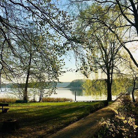 נוירופין Waldschenke Stendenitz Uebernachten Im Wald Am See מראה חיצוני תמונה